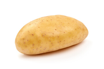 Young Fresh potato, isolated on white background