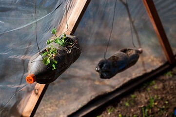 sustentabilidad, ecologia, reciclaje