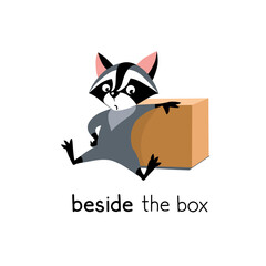 Preposition of place. Raccoon beside the box