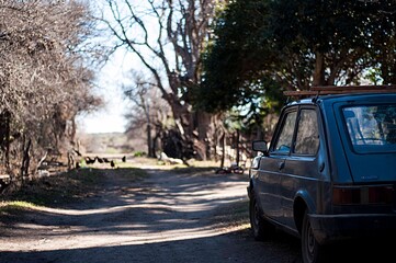 auto de campo, coche viejo