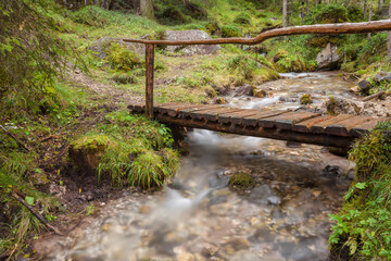 Fototapeta premium A mountain stream flows in the misty forest