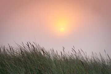 Sunrise and fog at the coast