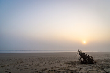 Sunrise and fog at the coast