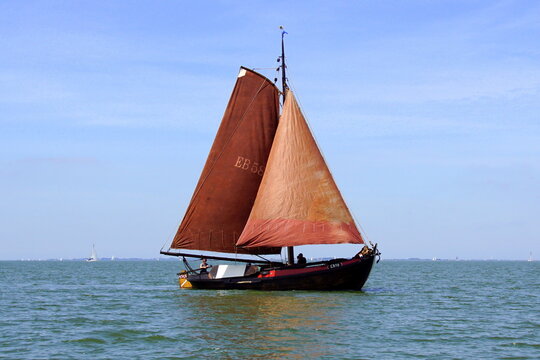 Almere the Netherlands - June 1, 2019: Historic Dutch Botter EB58 sailing by on a sunny day.