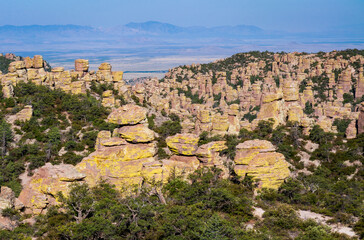 Fototapeta na wymiar Hoodoos at the Valley at Chiricahua National Monument