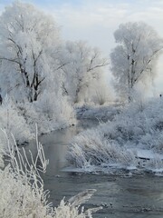 winter landscape with river