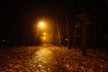 Autumn city park at night in fog