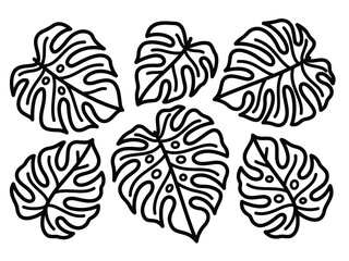 Set of tropical leaves. monstera leaf line art illustration. Symmetrical composition. botanical line art. © Noctwork