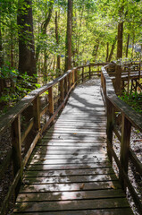 Congaree National Park