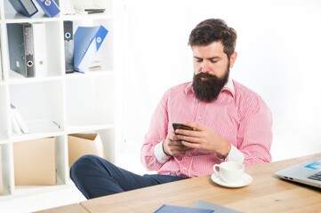 Only the essentials. Bearded man read sms in phone. Modern lifestyle. Business communication. Office life. New technology. Mobile phone for professional use