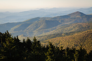 Mount Mitchell State Park