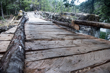 camino de bosque, en montaña