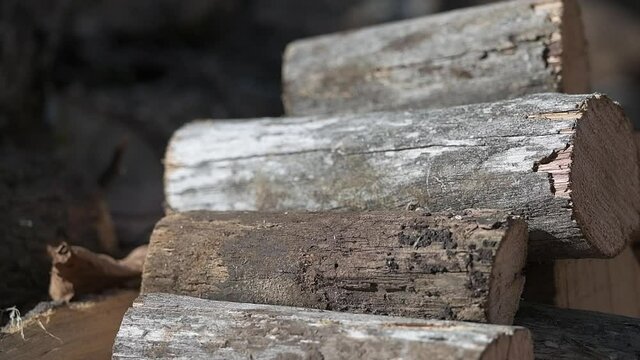 Sistemazione della legna da ardere