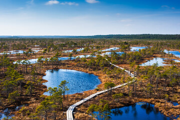 Swamp or bog in Kemeri National park in Latvia