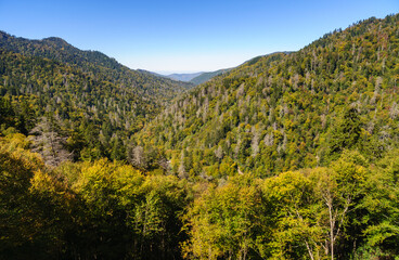 Obraz premium Great Smoky Mountains National Park