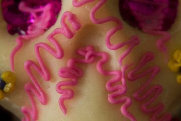 Close up to the nose of a traditional Sugar Skull