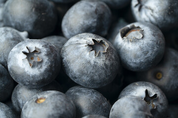 Background from Blueberry. completely closed blueberry for screensaver