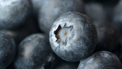 blueberry berry health and diets close-up macro