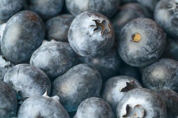 Background of the fresh blueberries