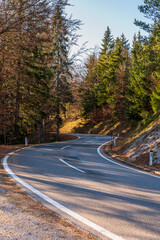A winding road through the forest in autumn on a bright sunny day