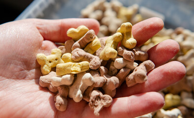 nutritional crackers for dogs close-up