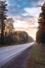 Autumn forest. Nature. Yellow background.