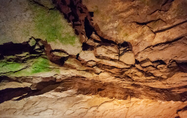 Mammoth Cave National Park
