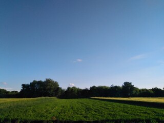 field and blue sky