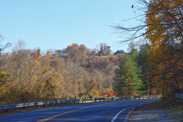 Loch Raven reservoir Trees in Baltimore Maryland USA