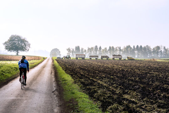 Biken &uuml;ber Land, berner Mittelland - Seeland, Ackerbau, R&uuml;benernte, Landwirtschaft, Radler, Strasse, Nebel, Schweiz