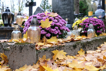 Flower pots with Very showy, China Aster (Callistephus chinensis) and glass candles among dry autumn leaves on grave in cemetery on November day