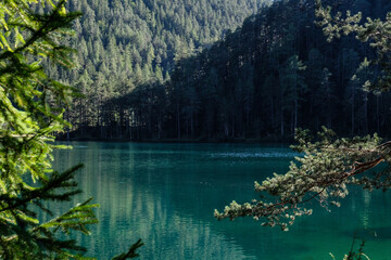 lake view in the alphs in austria at fernsteinsee