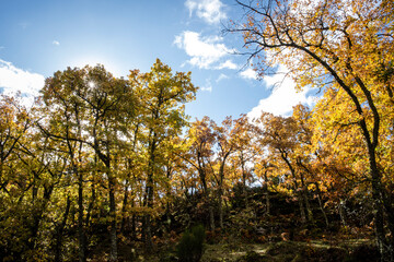 Tejeda de Tosande. Fuentes Carrionas Natural Park, Fuente Cobre- Palentina Mountain. Palencia,  Spain