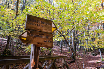 Tejeda de Tosande. Fuentes Carrionas Natural Park, Fuente Cobre- Palentina Mountain. Palencia,  Spain