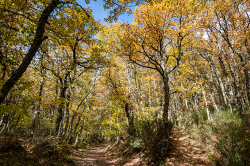 Tejeda de Tosande. Fuentes Carrionas Natural Park, Fuente Cobre- Palentina Mountain. Palencia,  Spain