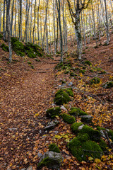 Tejeda de Tosande. Fuentes Carrionas Natural Park, Fuente Cobre- Palentina Mountain. Palencia,  Spain