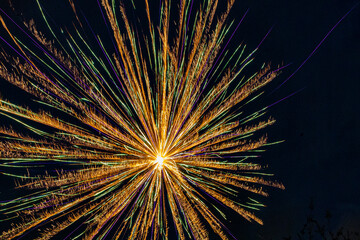 Fototapeta premium Fourth of July Fireworks