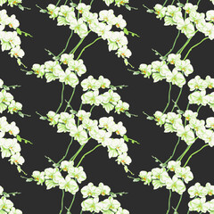 Seamless pattern with white orchids on a dark grey background. Endless tropical exotic illustration with green stems,buds and flowers.