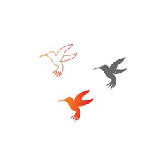 Hummingbird logo icon creative design