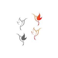 Hummingbird logo icon creative design