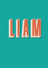 liam 3 d name lettering 