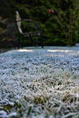 Bank im Gras mit Frost