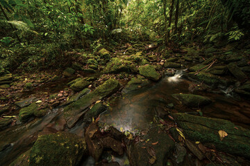 Desengano State Park
