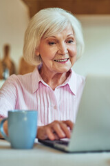 Happy senior lady working with gadget on the kitchen