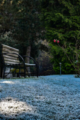 Bank im Gras im Frost mit Pflanze