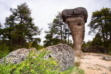 Eroded limestone outcrops in La Ciudad Encantada, The enchanted City,