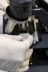 close-up side view of the hands of a scientific researcher, wearing white latex gloves, while adjusting a slide of a laboratory microscope.