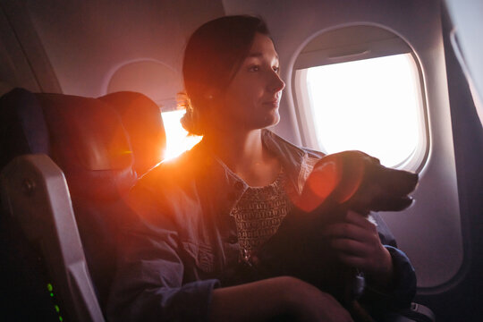 Dog And Woman Travelling On A Plane At Sunset.