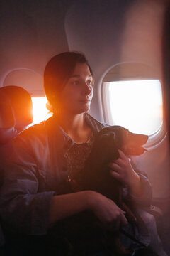 Dog On A Plane At Sunset.
