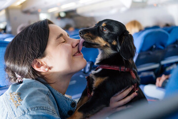 Girl And Dog On A Plane.